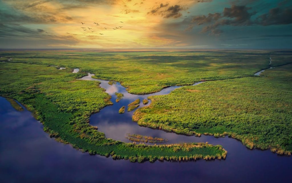 Luchtfoto van een kronkelende rivier door groene moerasvegetatie met een zwerm vogels tegen een gouden avondlucht
