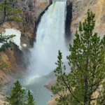 Een brede waterval stort neer over rotsen omgeven door dennenbos in Yellowstone National Park