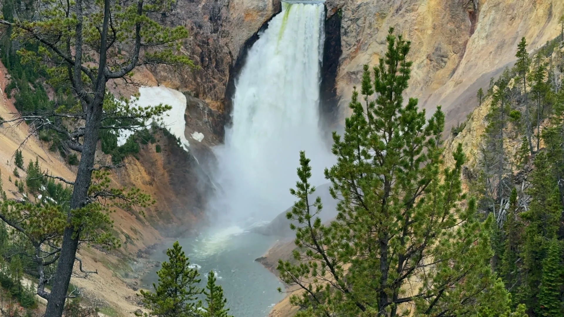 Een brede waterval stort neer over rotsen omgeven door dennenbos in Yellowstone National Park
