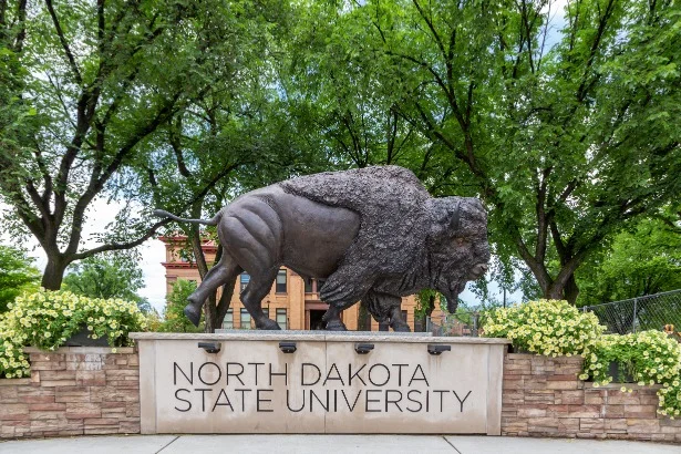 Bronzen standbeeld van een bizon staat voor de stenen ingang met de naam North Dakota State University tussen groene bomen