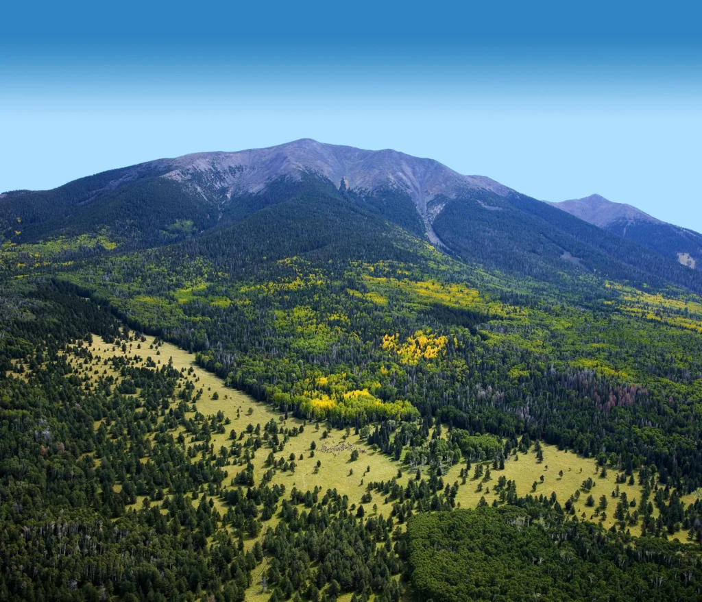 Panoramisch zicht op Mount Humphreys bij Flagstaff met glooiende hellingen vol groene en gele bomen onder een blauwe lucht