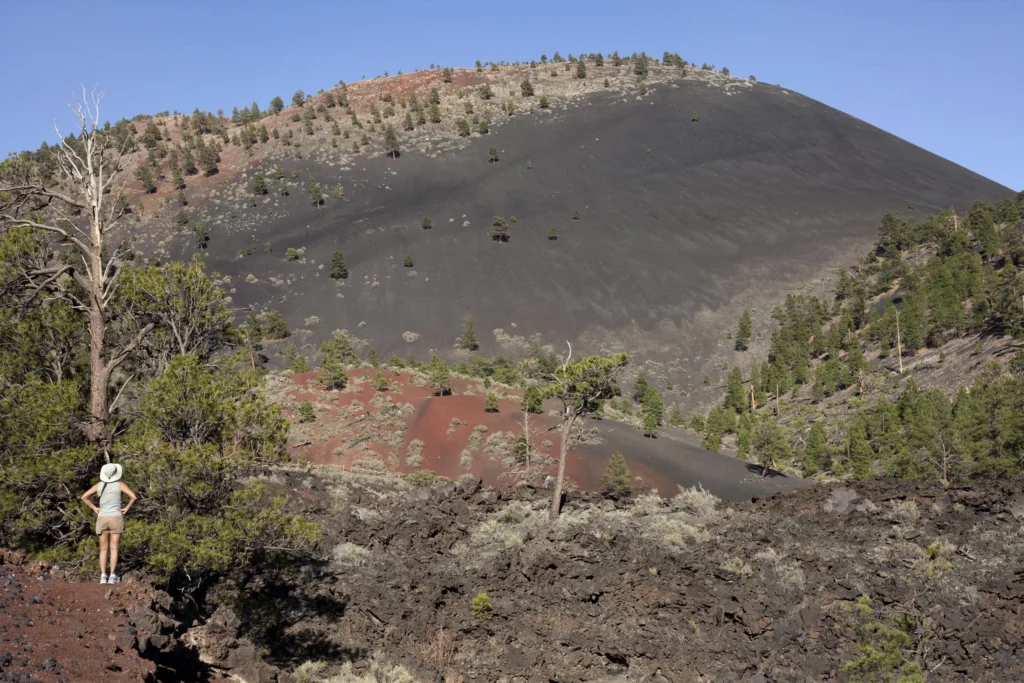 Wandelaar in korte broek en hoed kijkt omhoog naar de zwarte vulkanische kegel van Sunset Crater omringd door dennen en rode lavagesteente