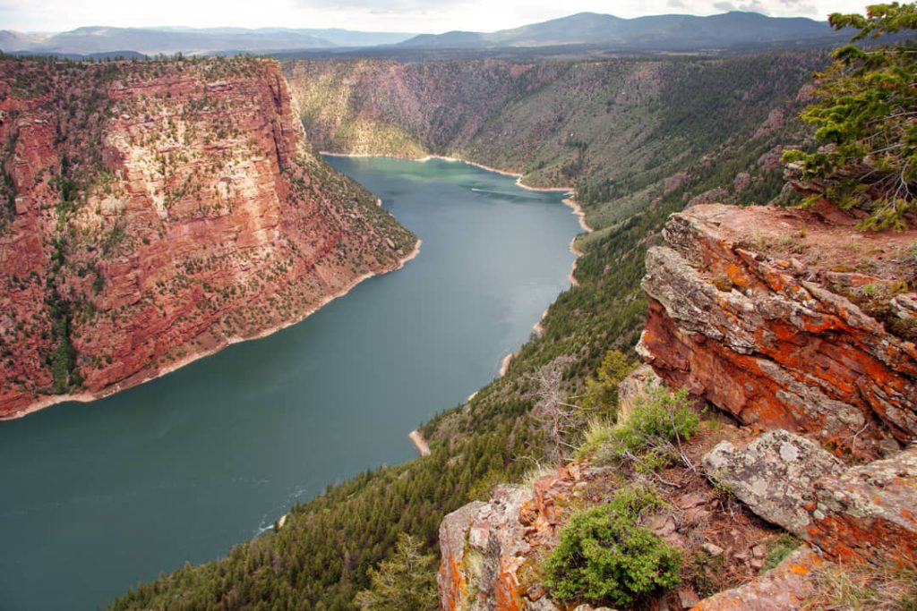 Blauwgroen water van het Flaming Gorge Reservoir slingert tussen steile rode rotswanden met bos op de hellingen