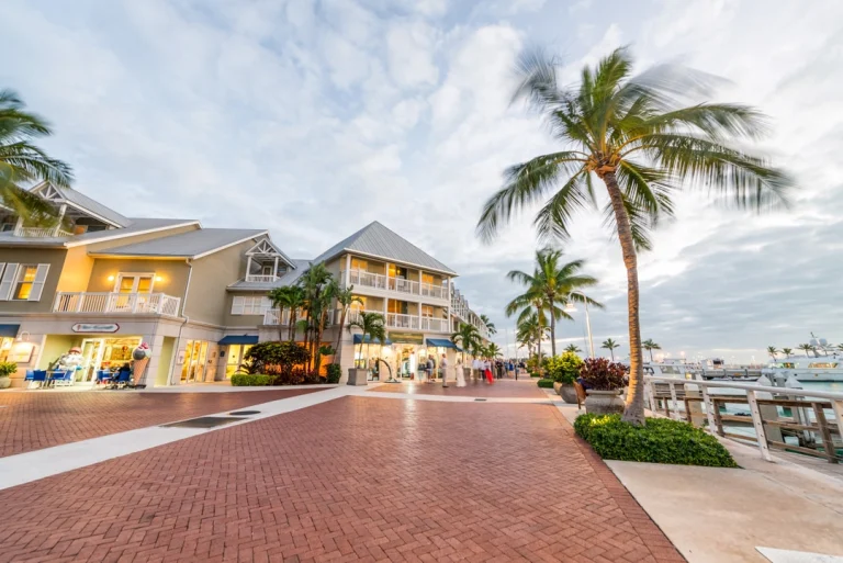 Bestrate boulevard met palmbomen en pastelkleurige gebouwen langs de jachthaven in Key West, Florida