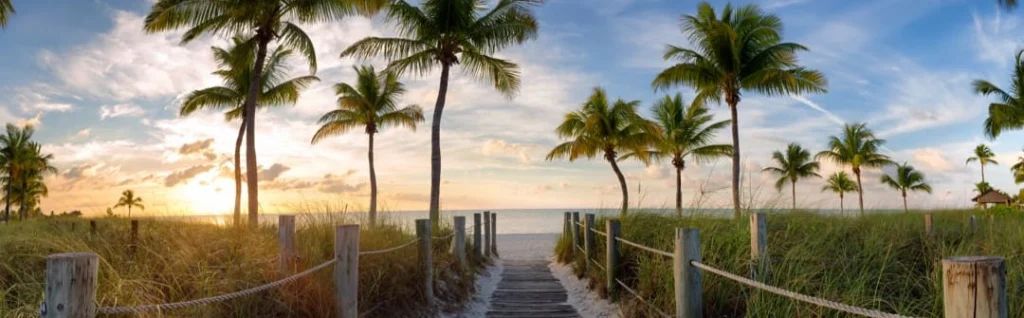 Houten vlonderpad tussen duingras en hoge palmbomen dat uitkomt op een strand met zicht op zee, kenmerkend voor de Florida Keys