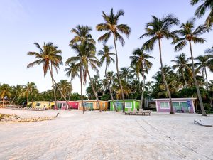 Rij kleurrijke strandcabines in geel, roze en groen tussen hoge palmbomen op een wit zandstrand in de Florida Keys