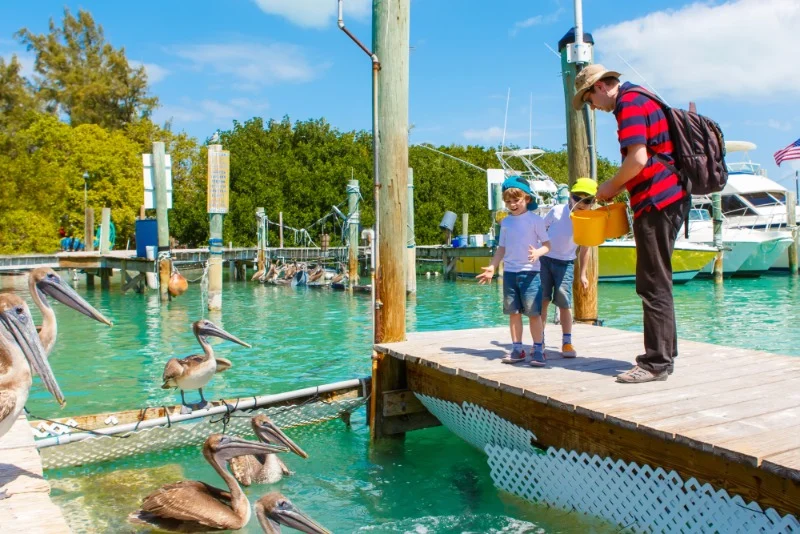 Vader en twee kinderen voeren pelikanen vanaf een houten steiger met boten en mangroven op de achtergrond in de Florida Keys
