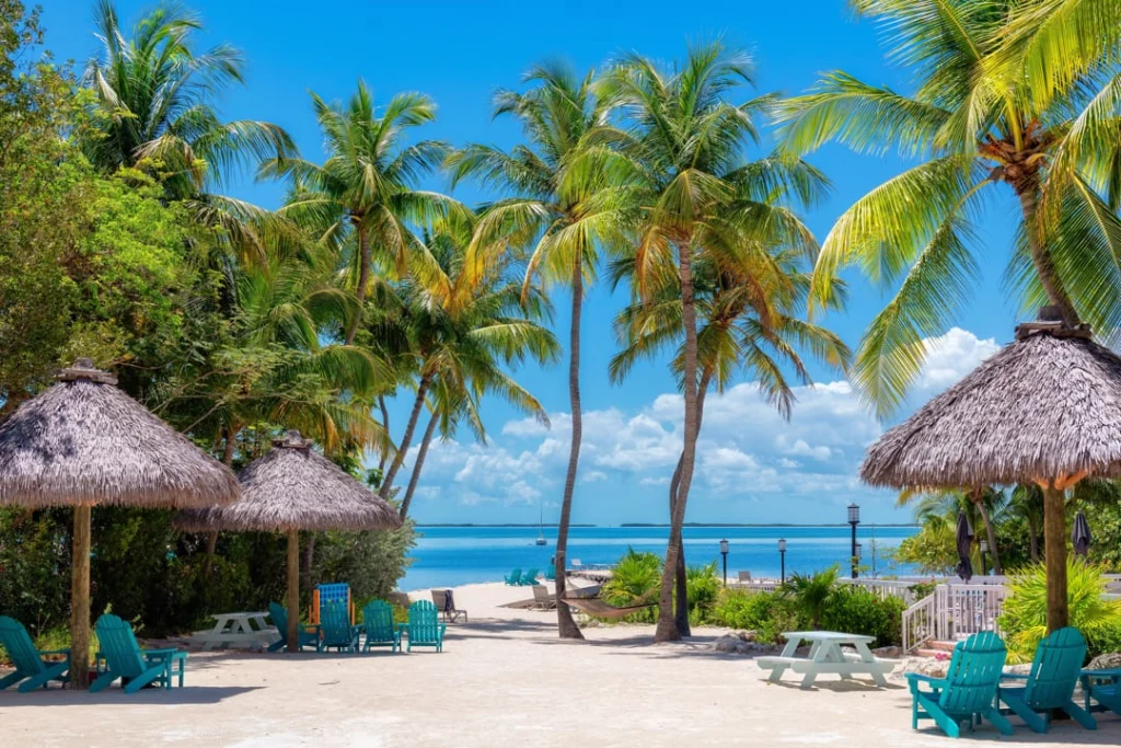 Zonnig strand in de Florida Keys met rieten palapa parasols, blauwe ligstoelen en hoge palmbomen die uitkijken op turquoise water
