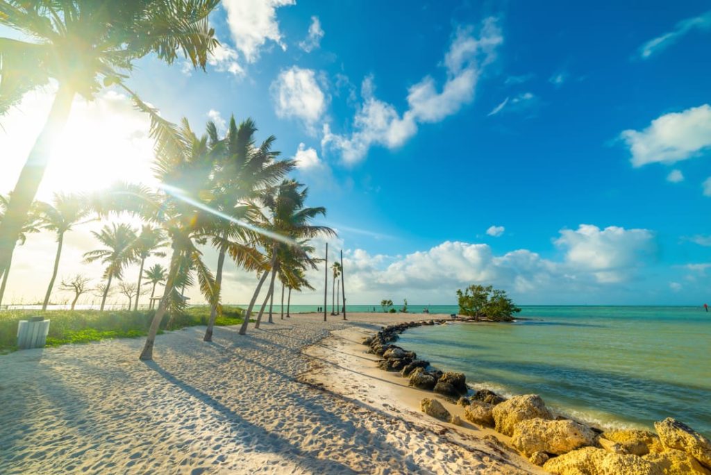 Zonovergoten zandpad tussen hoge palmbomen leidt naar een rustig strand met helderblauwe zee in de Florida Keys