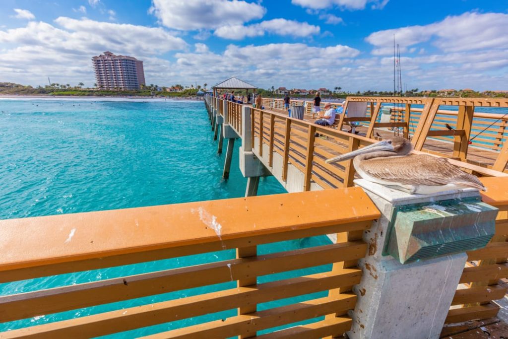 Pelikaan rust op een houten paal aan een steiger boven turquoise water met een resort en strand op de achtergrond