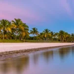 Rij palmbomen langs een leeg zandstrand met een rustige zee die de roze avondlucht weerspiegelt