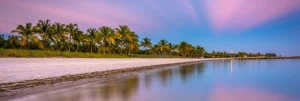 Rij palmbomen langs een leeg zandstrand met een rustige zee die de roze avondlucht weerspiegelt