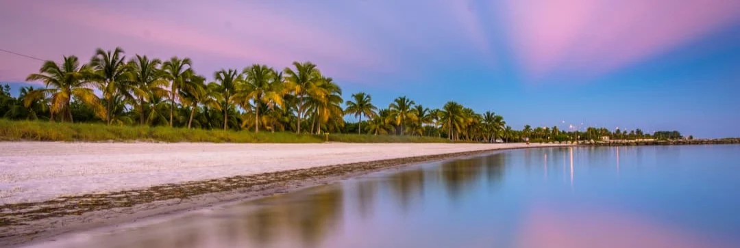 Rij palmbomen langs een leeg zandstrand met een rustige zee die de roze avondlucht weerspiegelt
