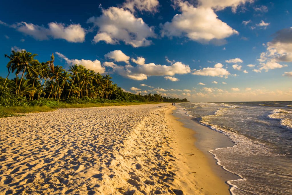 Verlaten strand met palmbomen op de achtergrond, voetstappen in het zand en golvende branding bij zonsondergang in Florida