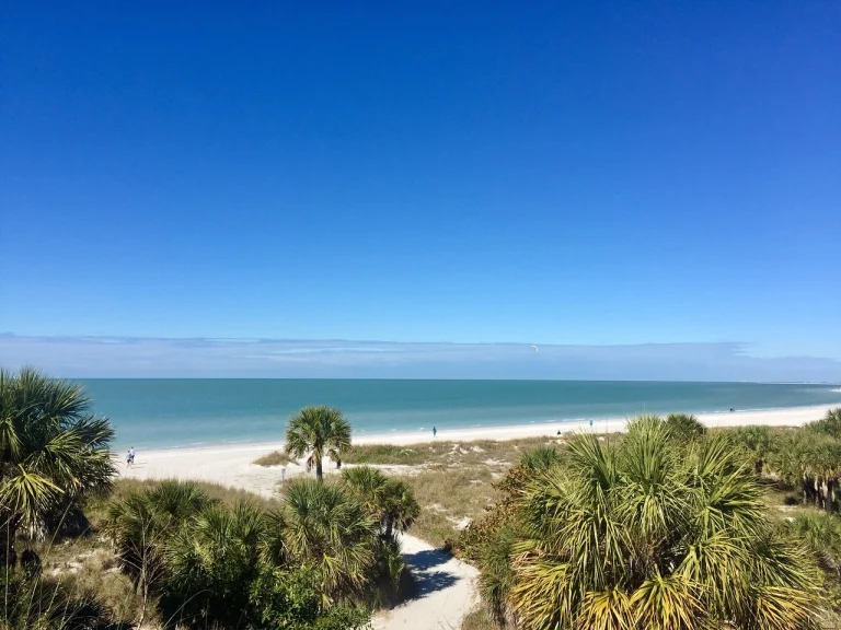 Uitzicht over palmbomen en duinbegroeiing naar een breed wit strand en turquoise zee bij St. Pete-Clearwater in Florida