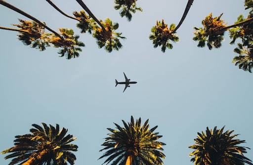Laag genomen foto van palmbomen met een vliegtuig dat hoog in de blauwe lucht overvliegt tussen de bladerkronen door