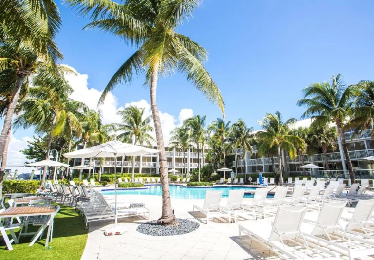 Zwembad met ligstoelen en witte parasols omringd door palmbomen bij een resort in Fort Lauderdale onder een strakblauwe lucht