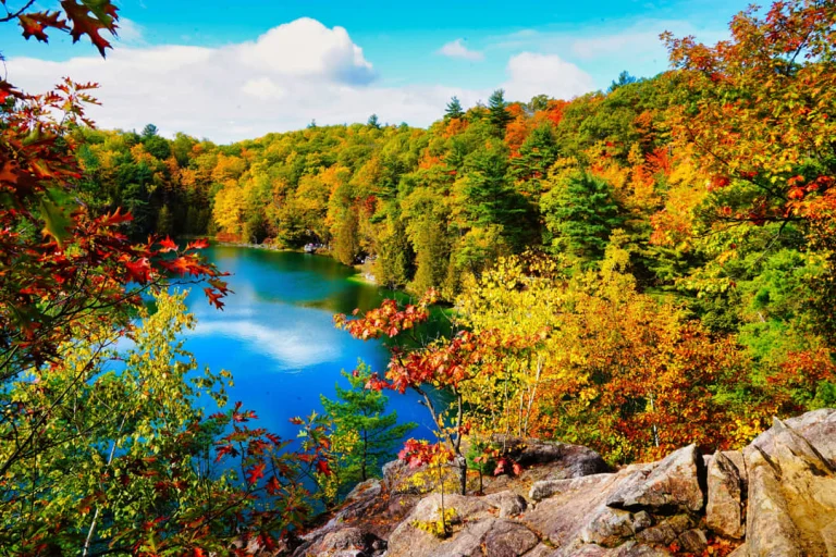 Een turkooisblauw meer omringd door dicht bos in gele oranje en rode herfstkleuren onder een lichtblauwe lucht bij Gatineau