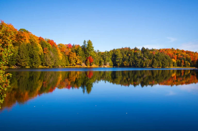 Helder blauw meer omgeven door bomen in rode oranje en gele herfstkleuren gezien vanaf een rotsachtige oever bij Gatineau