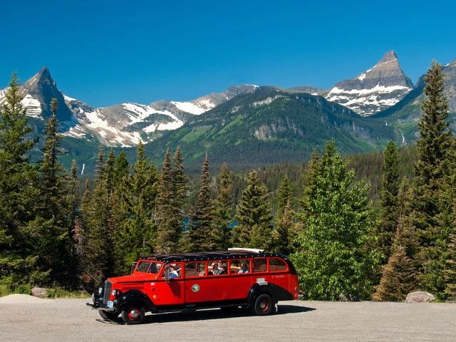 Klassieke rode touringcar met open dak staat tussen dennenbomen met besneeuwde bergtoppen op de achtergrond in Glacier National Park