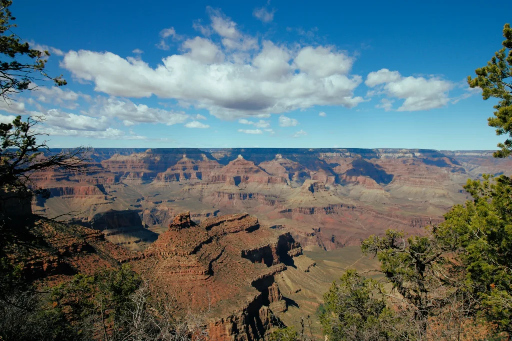 Uitzicht over de gelaagde roodbruine rotsformaties van de Grand Canyon in Arizona onder een blauwe lucht met wolken, omlijst door dennentakken