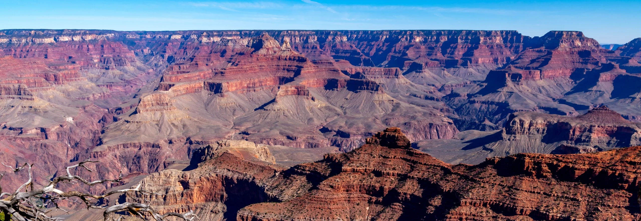 Panoramisch uitzicht over de diepe, roodbruine rotslagen van de Grand Canyon onder een strakblauwe hemel