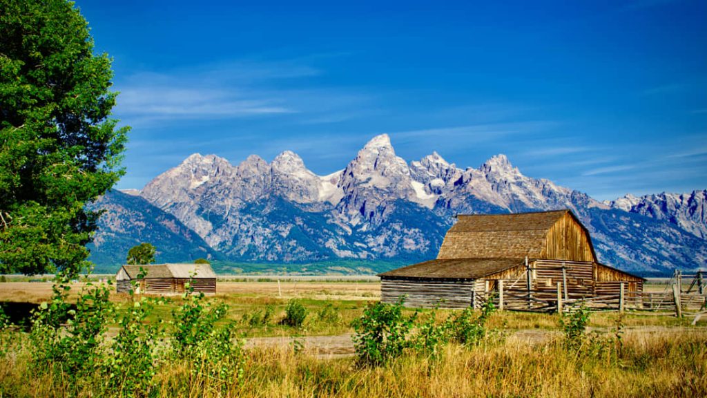 Verweerde houten schuur op een grasveld met de kartelige toppen van de Teton bergketen op de achtergrond onder een blauwe lucht