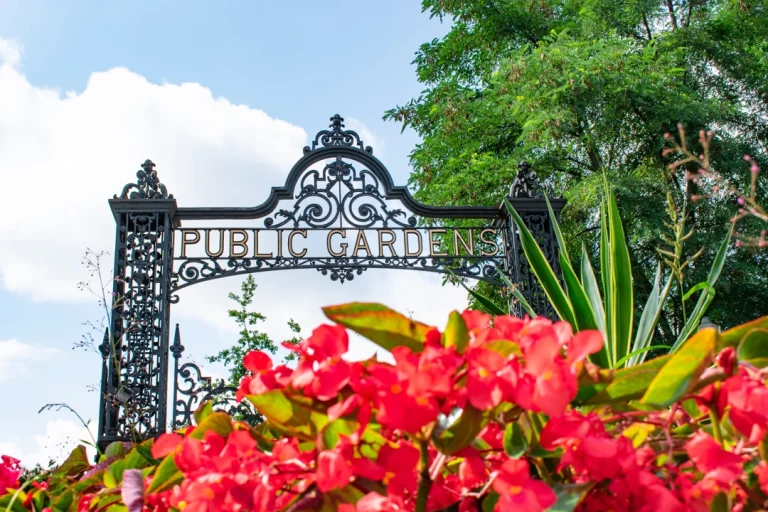 Zwart gietijzeren poort met de tekst Public Gardens omlijst door felrode bloemen en groen gebladerte