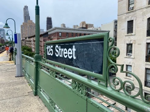 Groen metalen bord met opschrift 125 Street op een verhoogd metrostation, met gebouwen van Harlem op de achtergrond