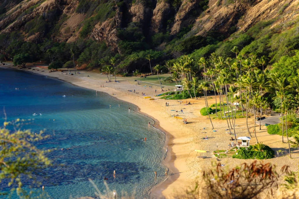 Uitzicht van bovenaf op een zandstrand met palmbomen en helderblauw water in een baai op Hawaii