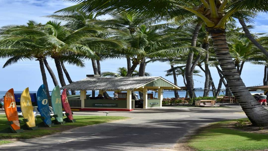 Een rieten strandpaviljoen omringd door palmbomen met kleurrijke surfplanken ervoor op Hawaii