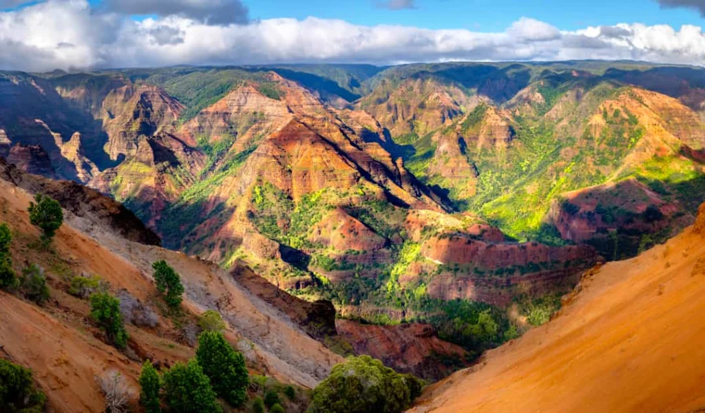 Uitgestrekt uitzicht over de roodbruine en groene rotswanden van de Waimea Canyon op Hawaii onder een bewolkte lucht