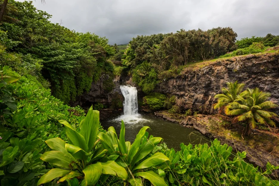 Een waterval stort zich in een rustige poel, omringd door dichte tropische begroeiing en palmbomen op Hawaii