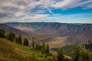 Panoramisch uitzicht over de glooiende bergwanden en de diepe kloof van Hells Canyon met dennenbomen op de voorgrond