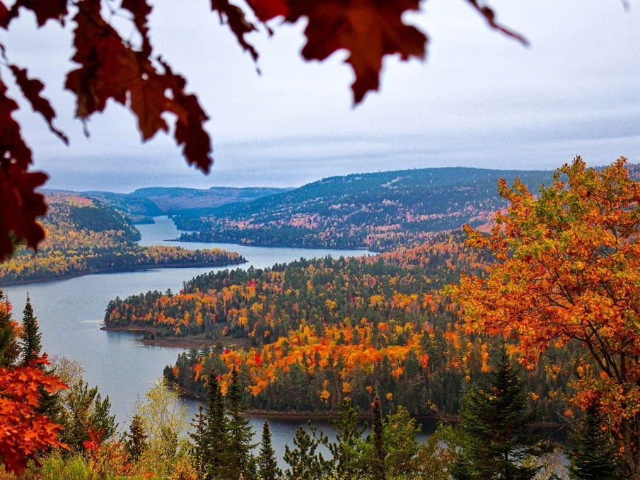 Uitzicht over een meer met bossen in felle herfstkleuren tussen glooiende heuvels in Canada