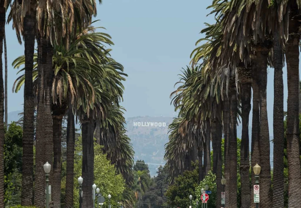 Het witte Hollywood bord is in de verte zichtbaar tussen een rij hoge palmbomen langs een straat in Los Angeles
