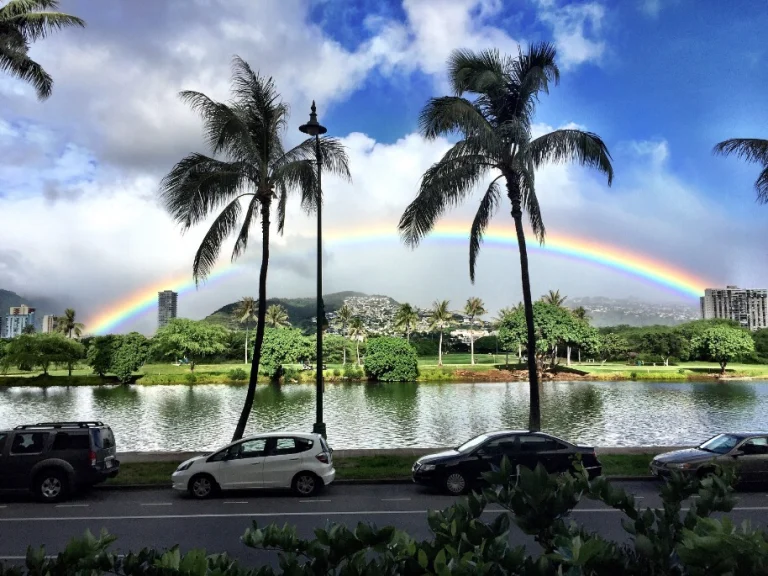 Een volledige regenboog spant zich boven een groen park met palmbomen en een vijver in Honolulu, met geparkeerde auto's op de voorgrond