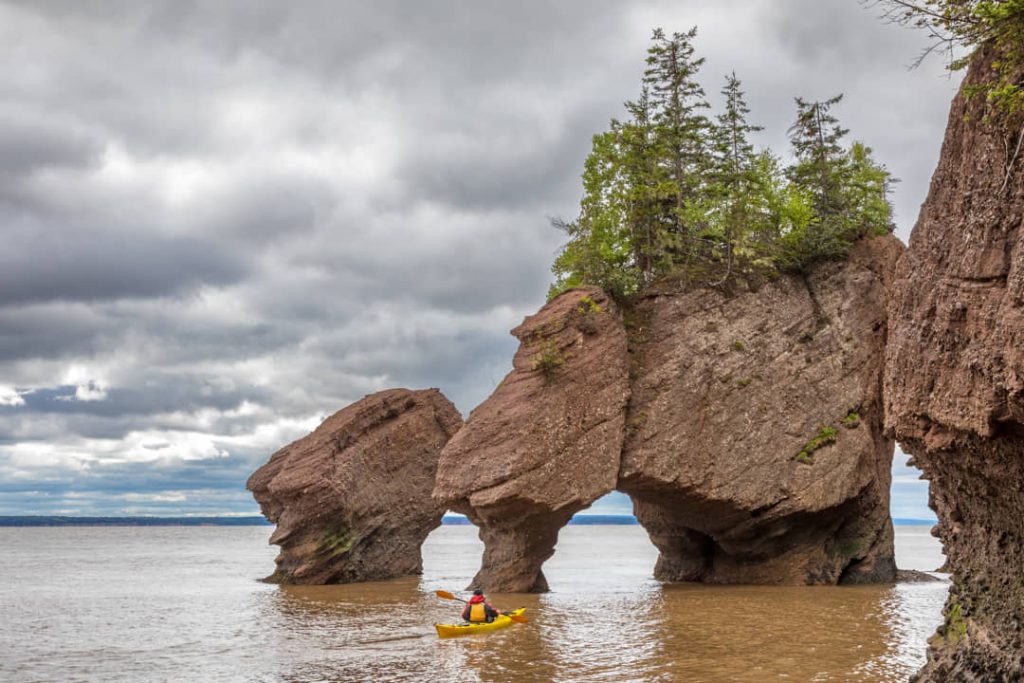 Kajakker peddelt tussen hoge rotsformaties begroeid met bomen bij Hopewell Rocks tijdens vloed