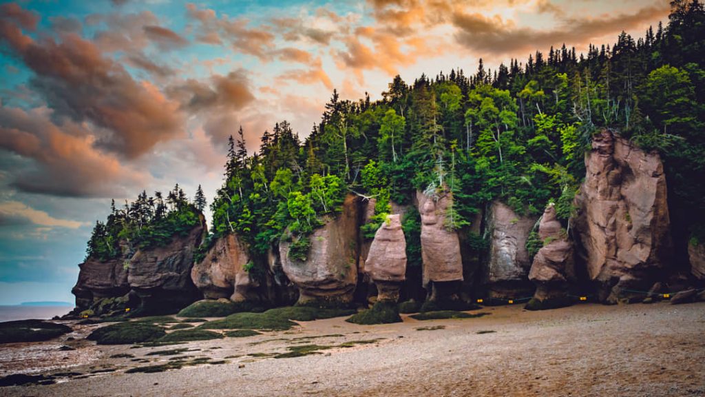 Hoge met bos begroeide rotszuilen op het strand van Hopewell Rocks tekenen zich af tegen een gekleurde avondlucht