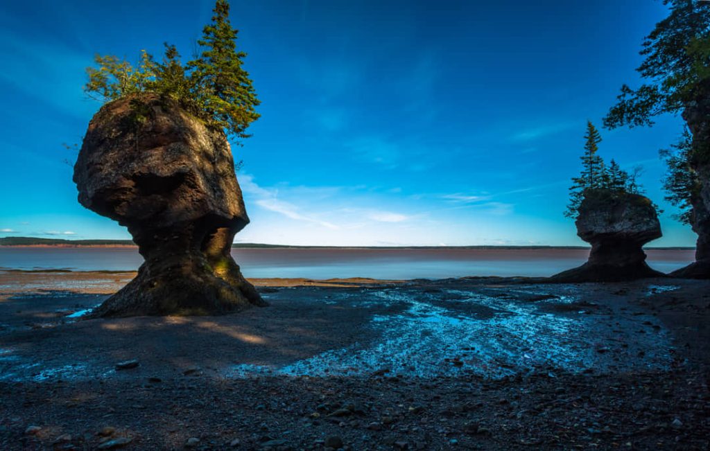 Twee opvallende met bomen begroeide rotszuilen op het lege strand van Hopewell Rocks onder een blauwe schemerlucht