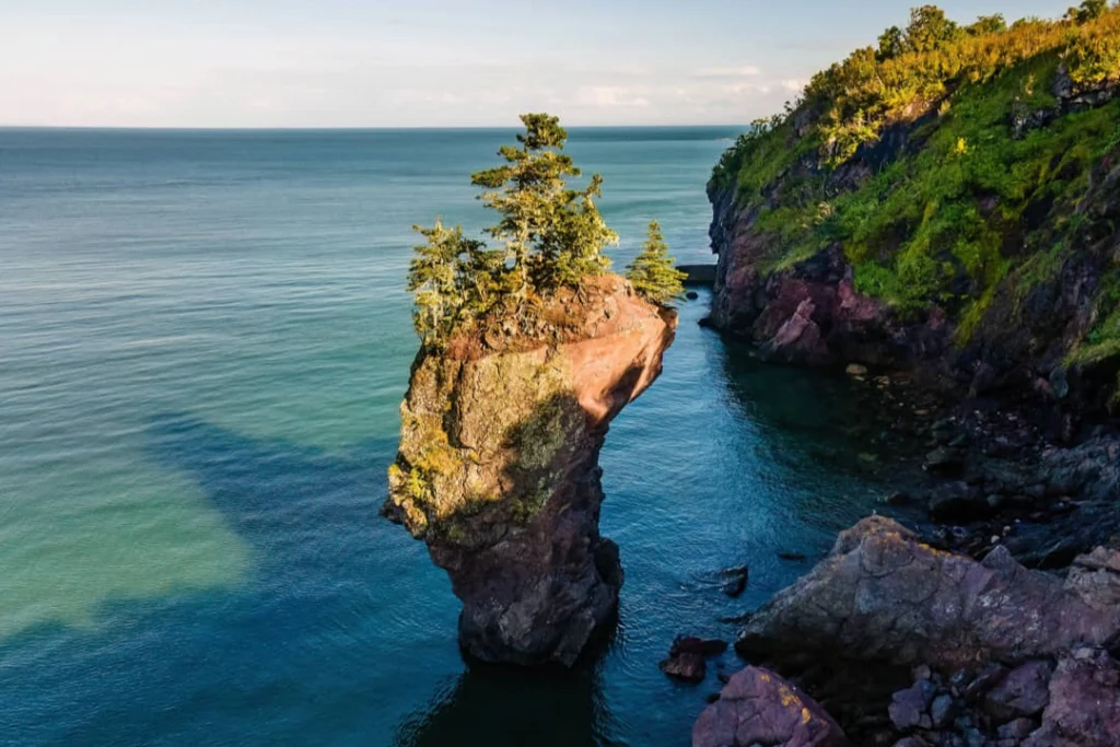 Een geïsoleerde rotszuil met bomen op de top steekt uit het water bij Hopewell Rocks terwijl de ondergaande zon de rotsen goudkleurig verlicht