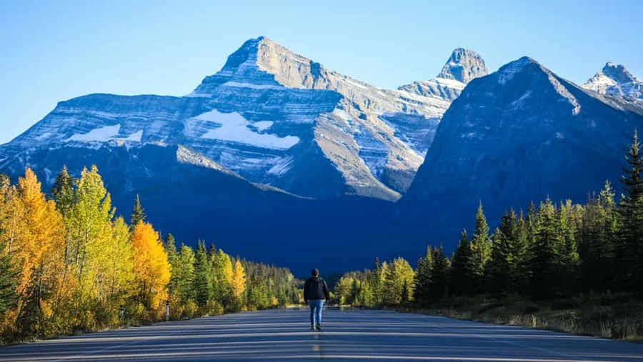 Wandelaar loopt over een lege asfaltweg met imposante bergtoppen op de achtergrond langs de Icefields Parkway in Alberta