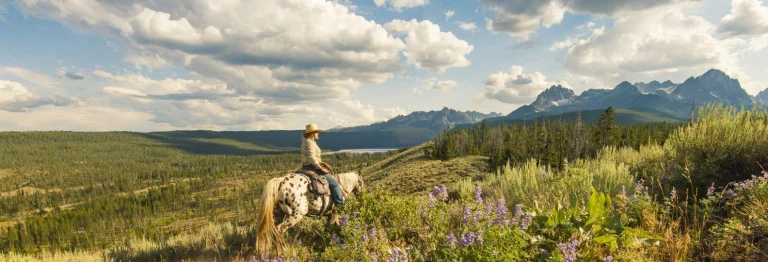The Great American West