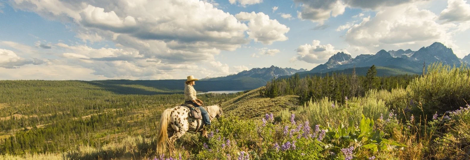 The Great American West