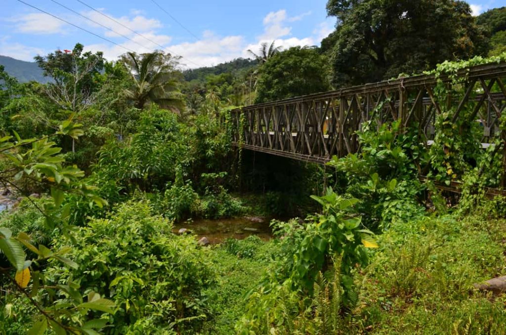 Een metalen loopbrug overspant een kleine beek tussen dichte groene begroeiing en bergen in Jamaica