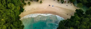 Luchtfoto van boven op een zandstrand tussen groene jungle waar witte golven breken op de kust van Jamaica