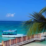 Een houten steiger met een boot steekt uit in helderblauw water tussen palmbladeren op het strand van Negril