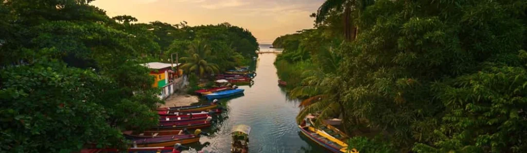 Smalle rivier omzoomd door dichte jungle met meerdere kleurrijke houten bootjes aan de oever bij zonsondergang in Jamaica