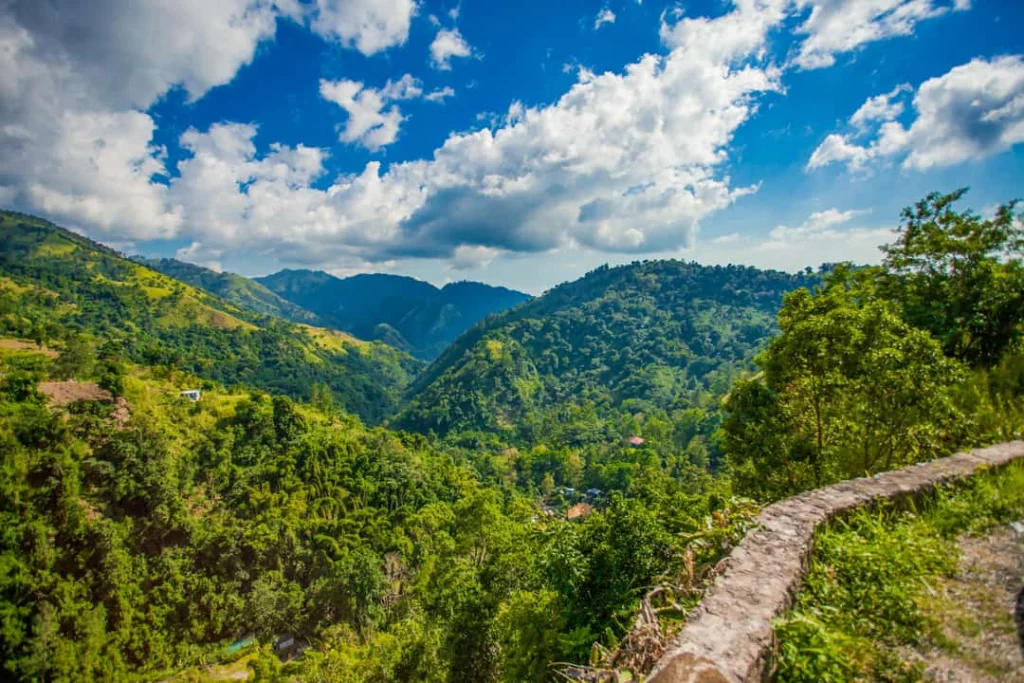 Groen beboste heuvels en bergtoppen van de Blue Mountains op Jamaica onder een blauwe lucht met stapelwolken