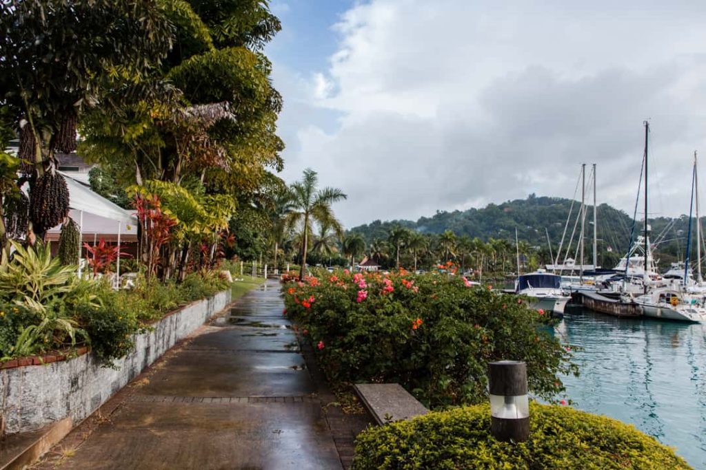 Een nat wandelpad met rode bloemen en palmbomen loopt langs een jachthaven met zeilboten in Jamaica
